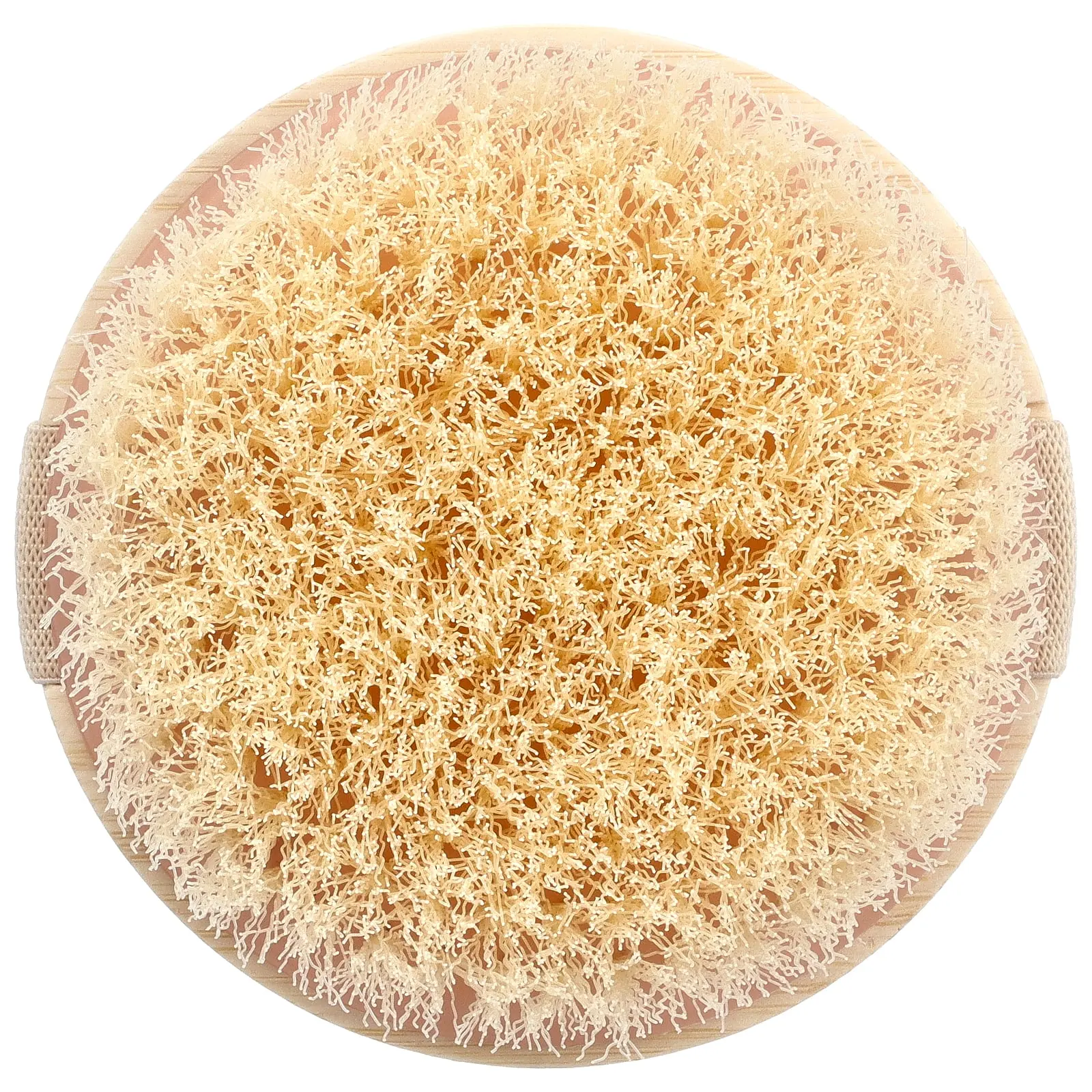 EcoTools Dry Body Brush, 1 Brush
