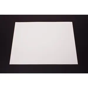 White Poster Board (100 sheets)