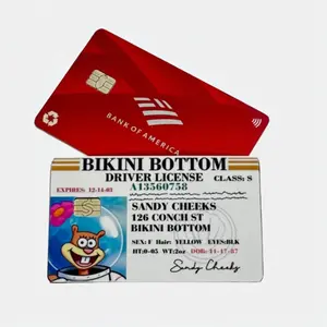 Sandy License Credit/Debit Card Decal Skin