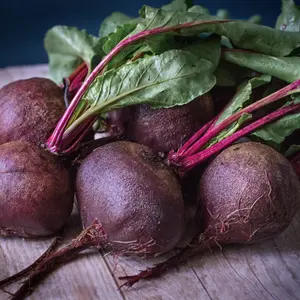 Crosby’s Egyptian Beet Organic Seeds (Beta vulgaris) Flat, sweet red roots with tender greens. Early maturing and perfect for heirloom gardens