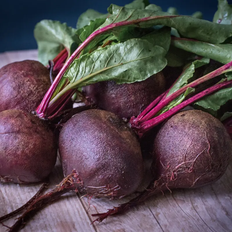 Crosby’s Egyptian Beet Organic Seeds (Beta vulgaris) Flat, sweet red roots with tender greens. Early maturing and perfect for heirloom gardens