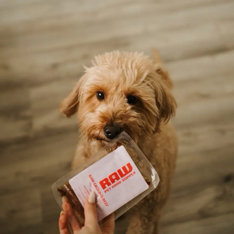 Raw Pet Food Supply - Original Dog Treats Protein - No Artificial Ingredients - Grass-Fed for Healthy Eating Dogs