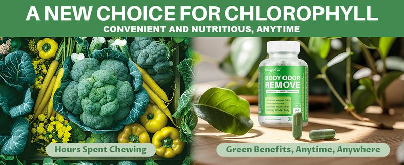 Body Deodorizing Supplement, Natural Internal Odor Control Pills for Men & Women, Chlorophyll Capsules for Skin, Breath, and Gut Health (60 Capsules)