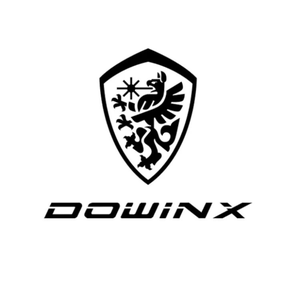 Dowinx-Gamingchair