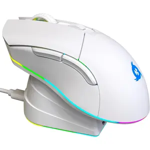 Blaze Pro Wireless Gaming Mouse RGB Rechargeable with Charging Dock High Precision Sensor 6000 DPI Long Battery Life Ergonomic PC Gaming Mouse