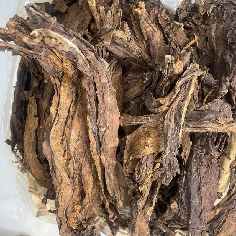 Haitian Fèy Tabak