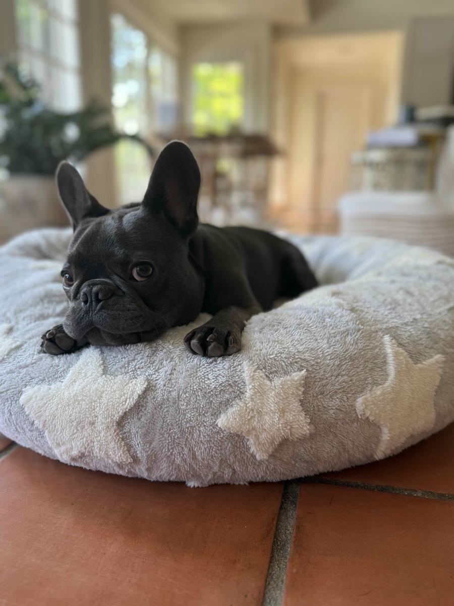 Item: Galaxy Grey, M (30x30x8)