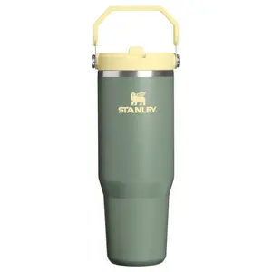 Stanley 30 oz Stainless Steel Ice Flow Flip Straw Tumbler Cactus Western