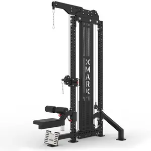 Commercial Lat Pulldown and Low Row Single Stack Functional Trainer