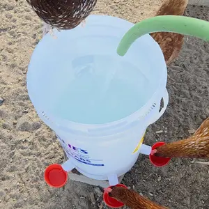 Chicken Waterer Cups, 12 Packs Large Chicken Watering Cups, Automatic Chicken Water Cups, Tee Fittings Poultry Feeder Cups Suitable for Chicken, Duck, Goose, Turkey with Two Mounting Hole Openers diy kit pvc Bowl Dispenser Feeding