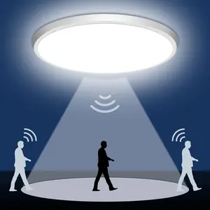 (2 Pieces) Human Motion Sensor Ceiling Light, 24w LED, Smart Sound Control, Home Ceiling Lighting, Ideal for Closet, Hallway, Garage, Basement - 5000k