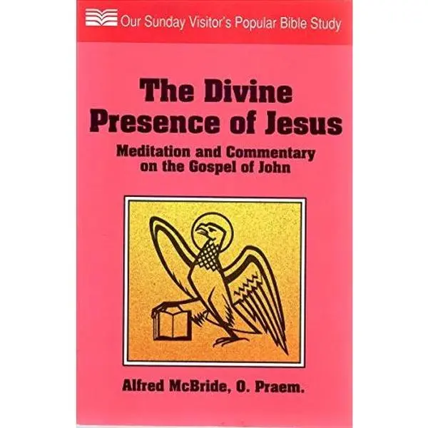 USED-Divine Presence of Jesus: Mediation and Commentary on the Gospel of John by Alfred McBride (Paperback)