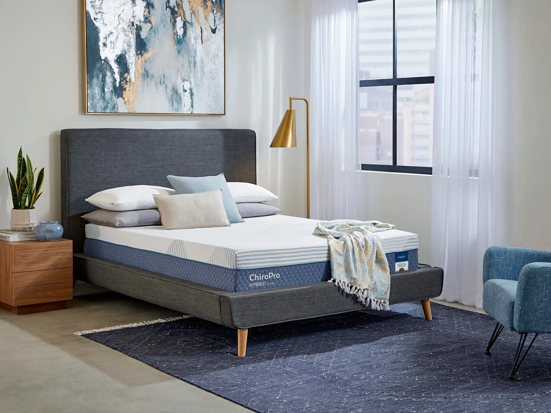 ChiroPro Plush Mattress