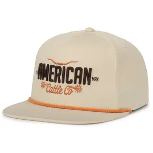 Longhorn Script Hat