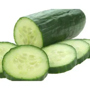 Cucumber - Premium Fragrance Oil
