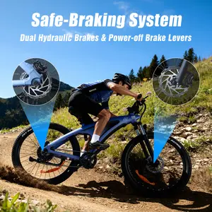 HX Q5 Adult Electric Mountain Bike - 2000W Motor, 48V 20Ah Removable Battery, Torque Sensor, Smooth Comfortable Ride