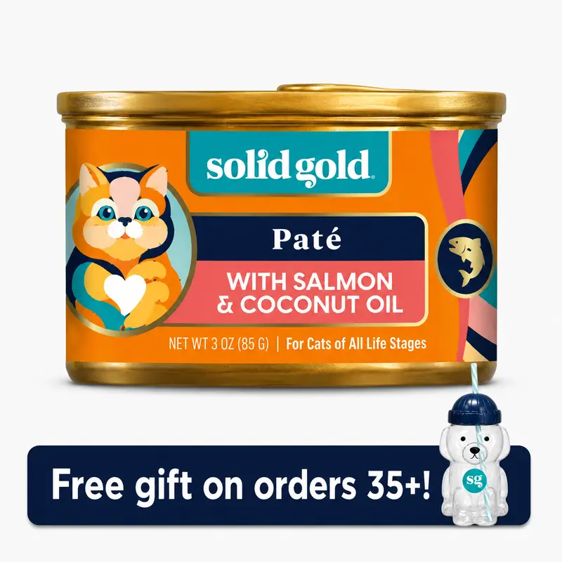 Solid Gold Tropical Blendz™ Salmon Wet Food for Cats