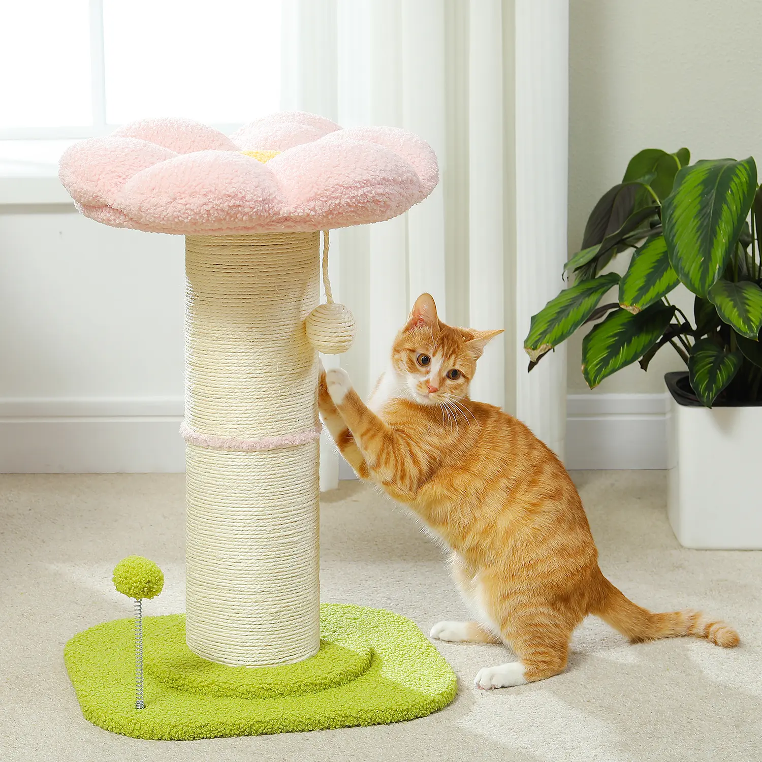 PAWZ Road Flower Cat Scratching Post 23.6-Inch Scratcher for Indoor Cats with Thick Scratching Post [Dia=5.5-Inch], Removable Flower Bed with Spring Ball, Pink#DealsForYouDays