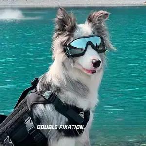 1pc Stylish Pet Goggles - Windproof, Sun & UV Protection, Adjustable Strap, Ideal for Dogs & Cats, All Breeds & Sizes