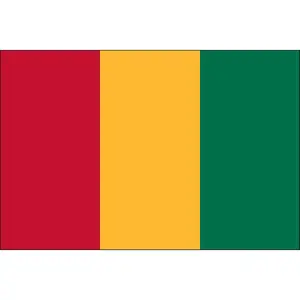Guinea 2ft x 3ft Indoor Polyester Flag