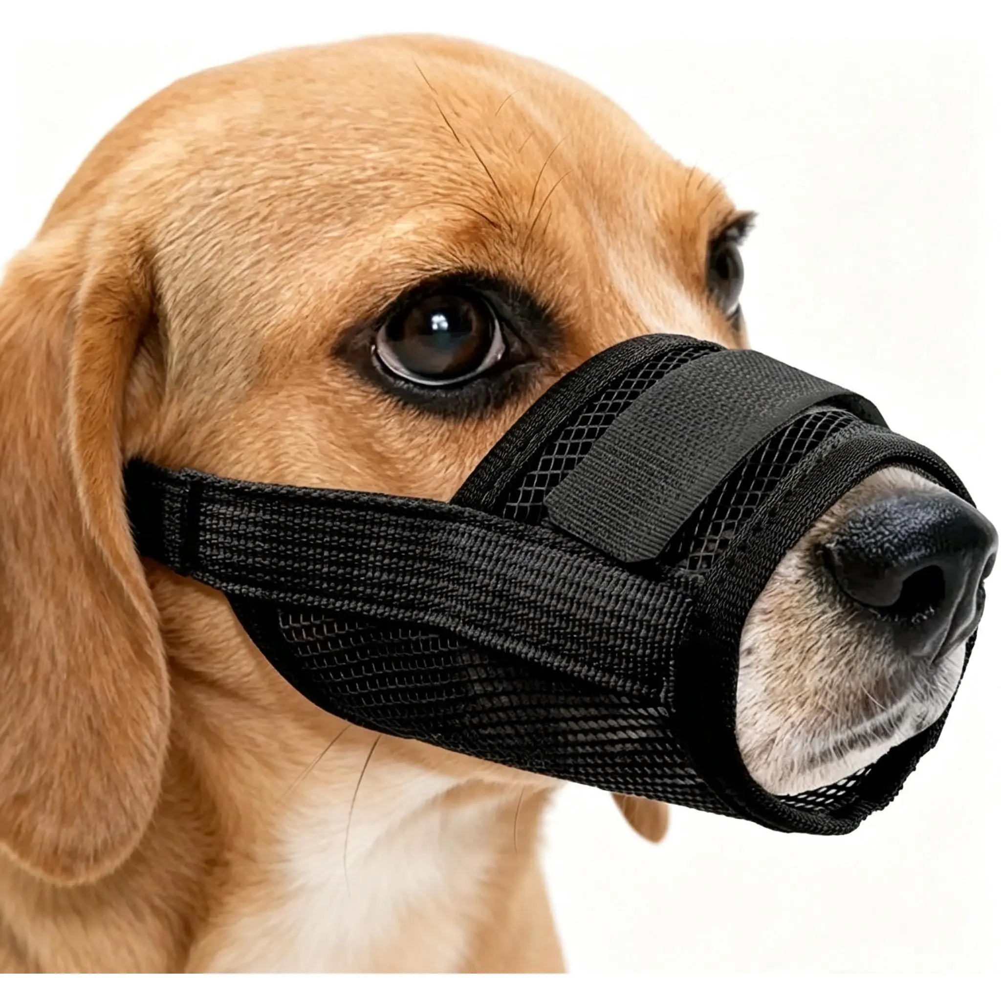 Small Dog Anti-Bite Muzzle - Black Nylon Mesh, Adjustable Strap, Breathable Mouth Guard for Grooming, Walking, Durable, Prevents Biting, Protection Features (Pet Healthcare Accessory), Prevent Biting