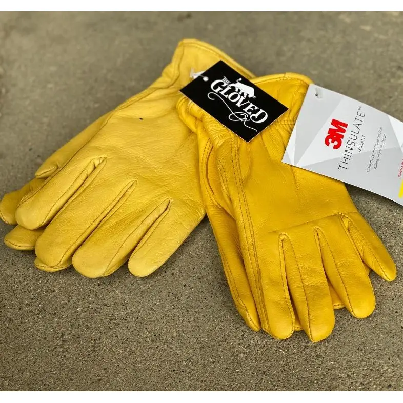 Men's Thinsulate Gloves