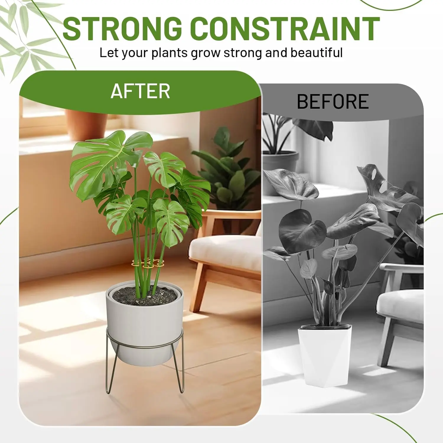 4PCS Iron Monstera Support, Uniquely Designed Plant Support Stakes for  Indoor Plants, Stable Plant Stakes and Supports, Turtle Shell Bamboo Clamp  Set for Thriving Growth - TikTok Shop