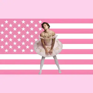 Harry Styles Inspired Wall Flag  Pop Icon Aesthetic Bedroom Decor Banner for Music Fans & Dorm Room Display, Frat Room Bedroom Pink Flag Modern Stripe Design