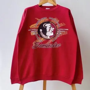 90s Florida State University Sweatshirt - Hoodie