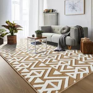 Shaggy Area Rugs Cozy Soft Memory Foam Carpets Fluffy Rug for Living Room Bedroom Kids Room Nursery Home Decor, Washable rugs(4 x 6 ft, 5 x 8 ft, 6 x 9 ft)