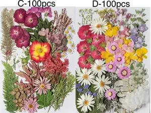 50-110pcs Mega Pack Dried Pressed Flowers and Leaves for Resin,Ready to Ship,Resin Supply,Card Making,Floral Arrangement,Frame Decoration
