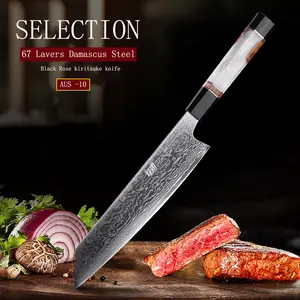 FINDKING 9 Inch Kitchen Kiritsuke Chef Knife, AUS-10 High Carbon Damascus Steel  Blade With Professional Cutting meat Knife, (Resin And Wooden Handle & Gift Box）