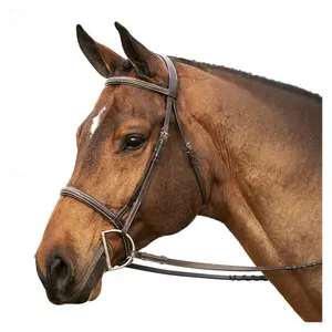 E10007-CBR Equinavia Saga Fancy Stitched Hunter Bridle & Reins - Size Full