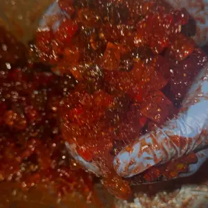 Gushers 8oz Champoy Candies Peach Mix - Sweet and Sour Gummies with Tamarind Flavor, Perfect for Sweet Cravings, Ideal Snack, Gum, and Chocolate Flavor - Mango, Fruit, Chewy, Bonbon, Gummy