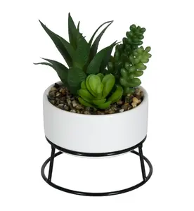 6.5in Artificial Mixed Succulents in White Ceramic Planter with Black Metal Stand