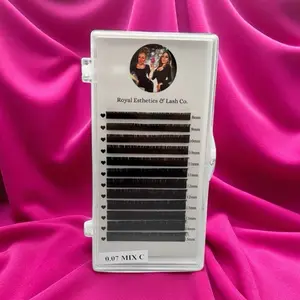 Royal Volume 0.07 Lash Trays  Eyelash Extension
