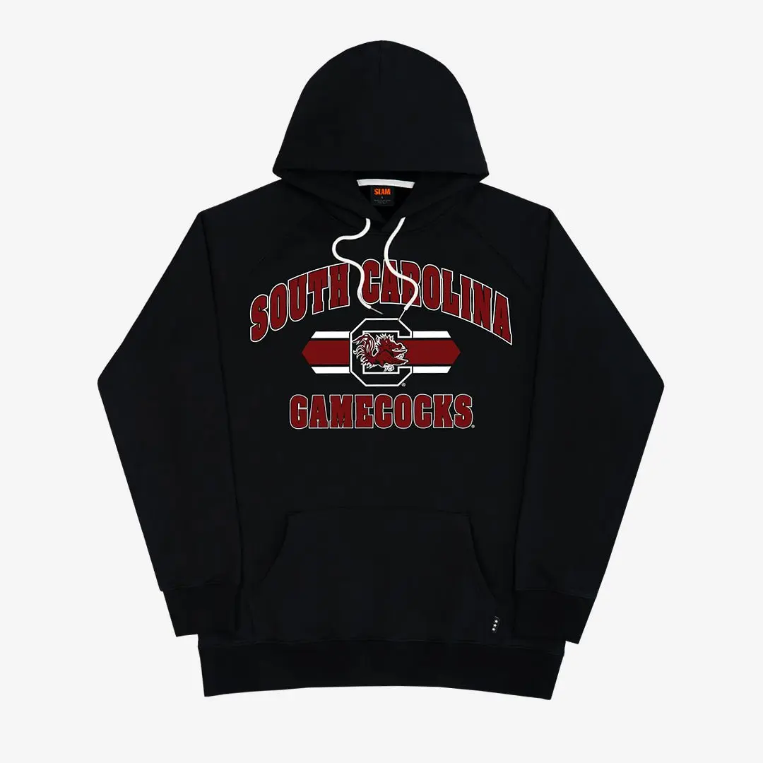 South Carolina Logo Stripe Tee, Crewneck Sweater, Hoodie