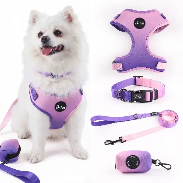 Petria  Breathable No-Pull Dog Harness and Leash Set with Dog collar & Poop Bag Dispenser– Adjustable Soft Vest for Small Medium Dogs and Cats, Outdoor Harness fot Training or Walking(Gradient Purple)
