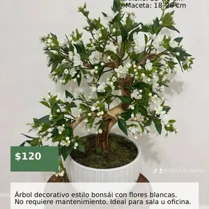 Bonsai Decor
