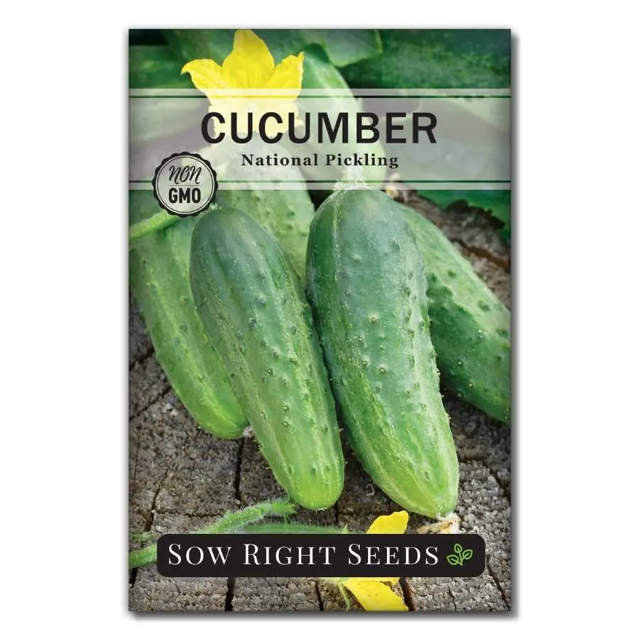 National Pickling Cucumber Seeds Cucumber Plant