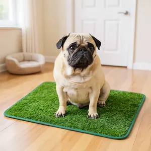 Durable Artificial Grass Dog Potty Training Pad Easy Clean Anti-Odor 1 Count Ideal Toilet Training Solution for Dogs Pet Supplies & Dog Mat
