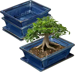 Bonsai Pots Small Shallow Succulent Planters for Live Bonsai Trees Set of 2, 7.5" Ceramic Pot for  Indoor with Drainage Hole and Saucer, Outdoor Cactus  Bonsai Pot