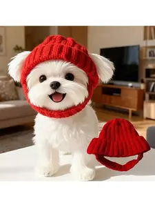 Knitted wool hat, Maltese dog headband with exposed ears to keep warm both outdoors and indoors.