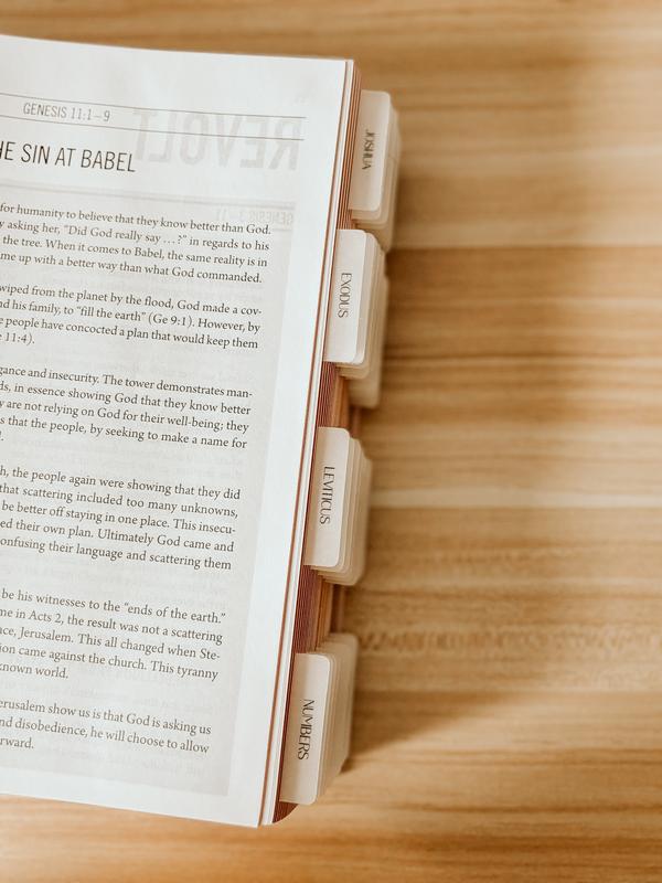 Mr. Pen Esther Bible Journaling Kit with 12 Dual Tip Highlighters, 6 .5mm Pens, Magnetic Bookmarks, Sticky Notes, & Bible Tabs