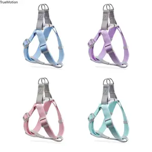 Adjustable No Pull Dog Harness Vest with Leash - Breathable Small Puppy Cat Harness for Daily Walking Training