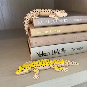 Articulated Gecko Lizard: 3D Printed Reptile Fidget Articulated Gecko Lizard: 3D Printed Reptile Fidget