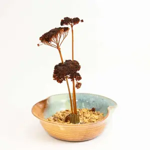 Ikebana Pot in Forest