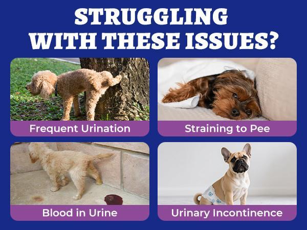 Wellix Dog Urinary Bites, 260-Count High Count Bulk Pack with Cranberry, D-Mannose & Fish Oil, Chicken Flavor