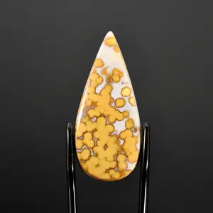 36mm Ocean Jasper Teardrop Cabochon, Indonesia g14