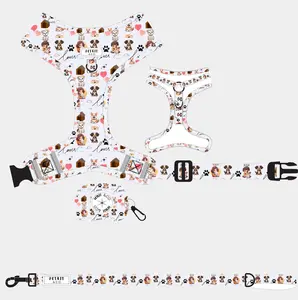 PetKit Welcome Pet Lover Kit - Solid Design with Adjustable Harness Matching Leash Waste Bag Holder & Soft Blanket for Cozy Walks